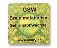 AkuRuy Informations-Chip GSW - Gehirnstoffwechsel