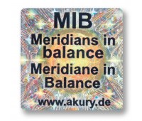 AkuRuy Informationschip Meridiane in Balance