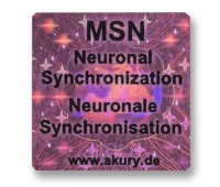 AkuRuy Informations-Chip MSN - Neuronale Synchronisation