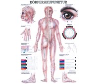 Charts Körperakupunktur – Die Mini-Chart